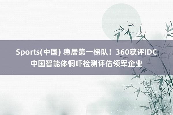 Sports(中国) 稳居第一梯队！360获评IDC中国智能体恫吓检测评估领军企业