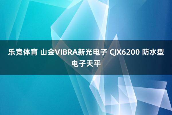 乐竞体育 山金VIBRA新光电子 CJX6200 防水型电子天平