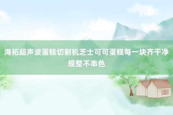 海拓超声波蛋糕切割机芝士可可蛋糕每一块齐干净规整不串色