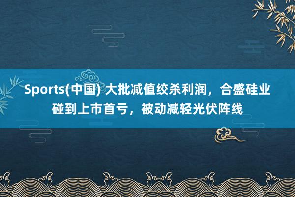 Sports(中国) 大批减值绞杀利润，合盛硅业碰到上市首亏，被动减轻光伏阵线